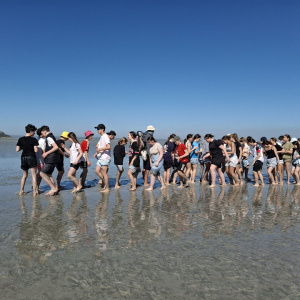 Dans les sables (pas si) mouvants