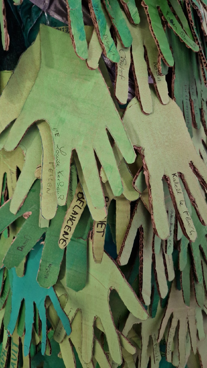 Une ribambelle de prénoms dans le sapin